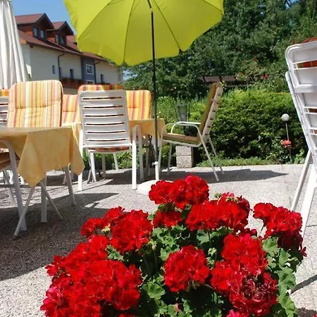 Guest house Agnes 3*