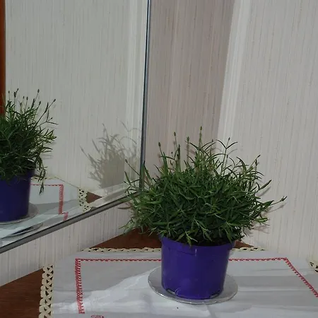 Agnes 3* Sankt Kanzian am Klopeiner See