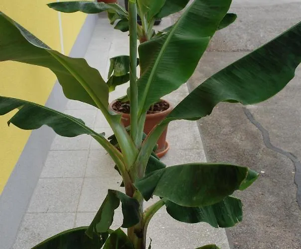 Gasthuis Agnes Sankt Kanzian am Klopeiner See