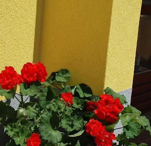 Agnes Sankt Kanzian am Klopeiner See