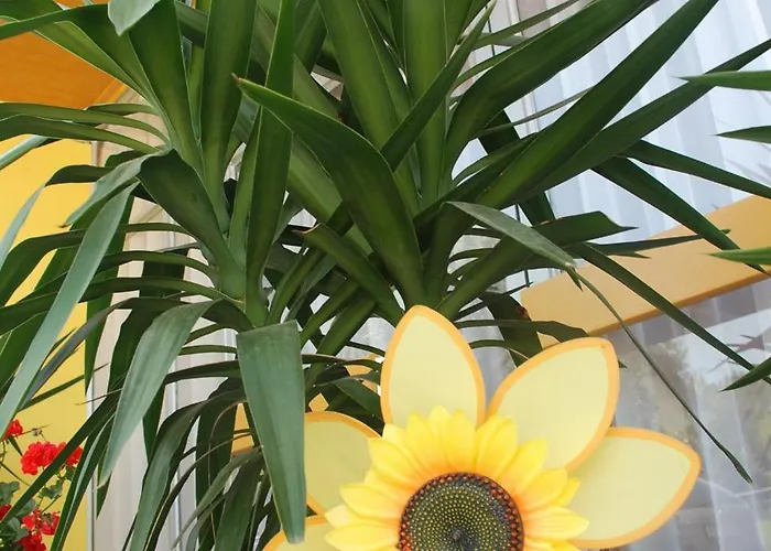 Agnes Sankt Kanzian am Klopeiner See