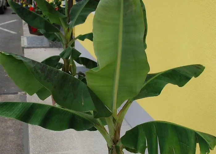 Agnes Sankt Kanzian am Klopeiner See